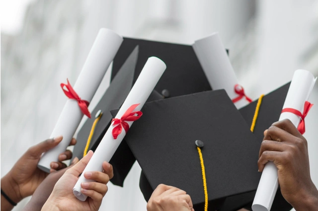 Higher Education