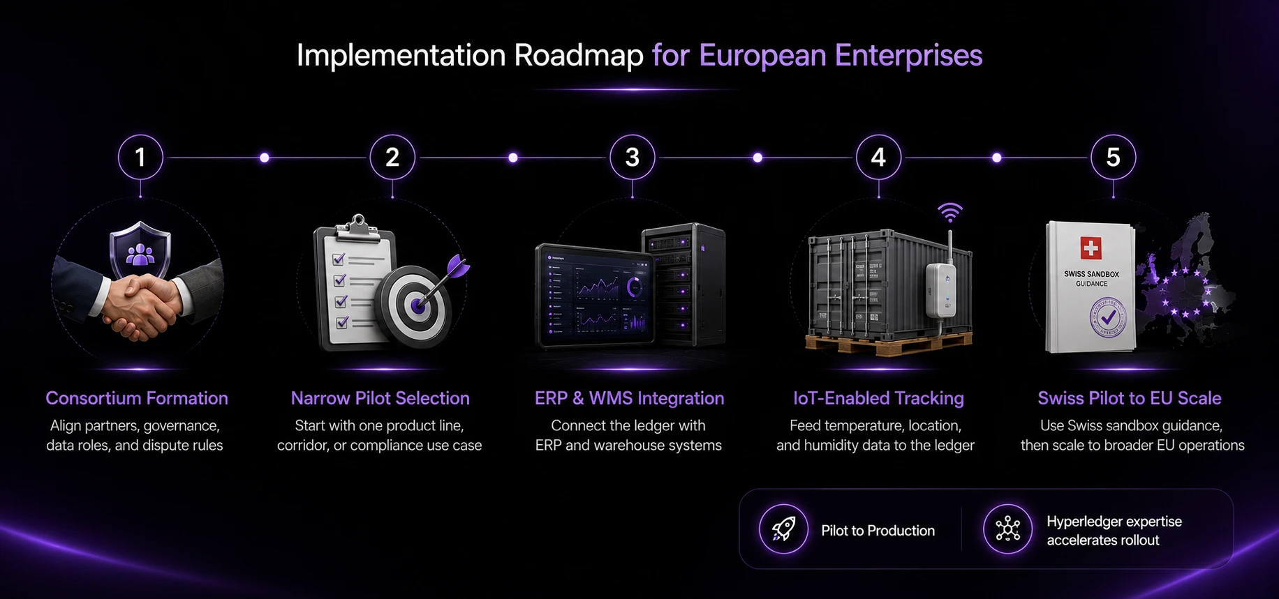 implementation roadmaps for Europion enterprises